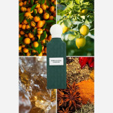عطر Emerald Soul Diamond از برند ابراهیم القریشی